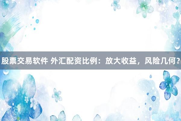 股票交易软件 外汇配资比例：放大收益，风险几何？
