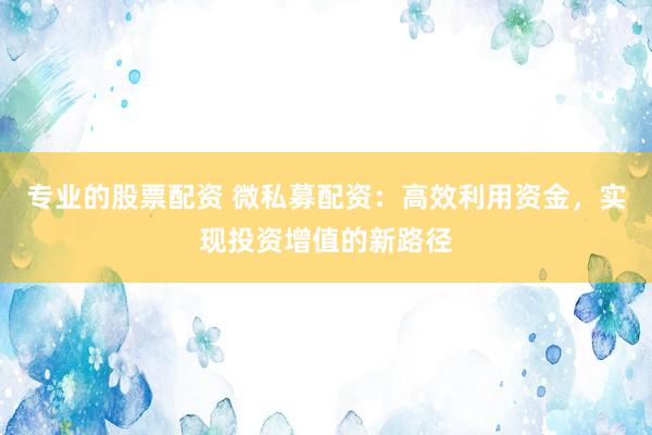 专业的股票配资 微私募配资：高效利用资金，实现投资增值的新路径