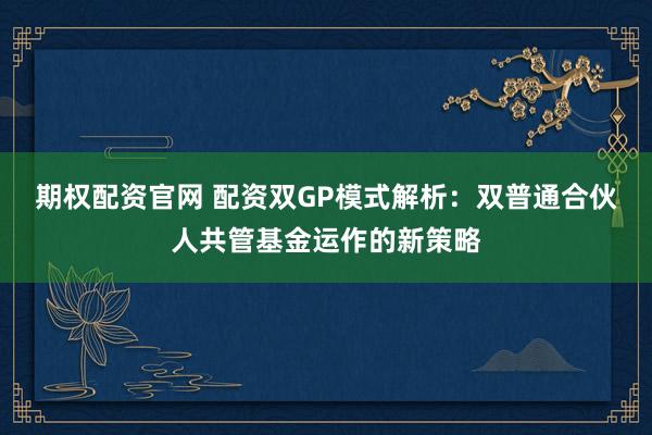 期权配资官网 配资双GP模式解析：双普通合伙人共管基金运作的新策略