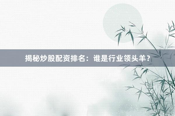 揭秘炒股配资排名：谁是行业领头羊？