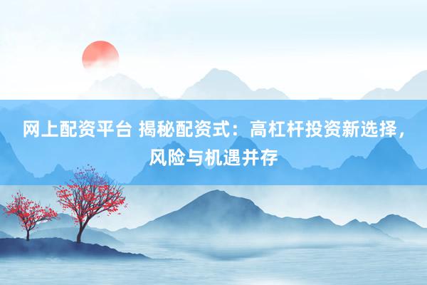 网上配资平台 揭秘配资式：高杠杆投资新选择，风险与机遇并存