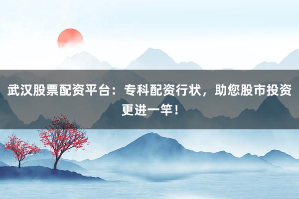 武汉股票配资平台：专科配资行状，助您股市投资更进一竿！