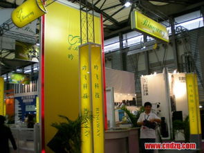 2010年中国 上海 国际乐器展览会之吟飞普及型电子琴产品现场图片报道